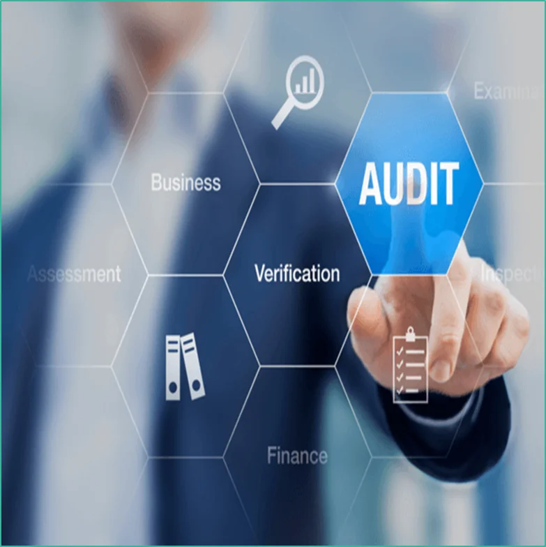 Audit Service